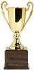 Pokal